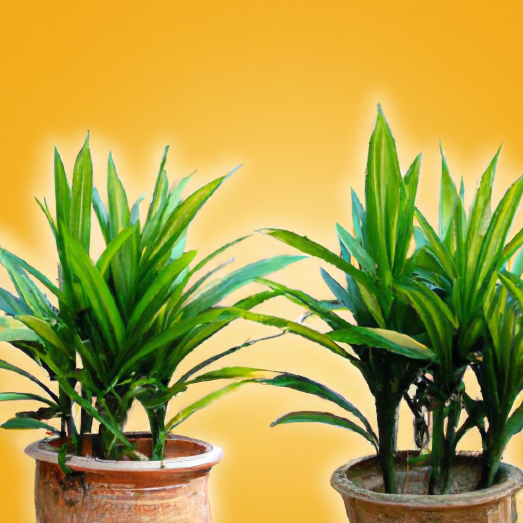 Conheça as melhores espécies para adicionar à sua coleção de plantas exóticas